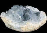 Celestine (Celestite) Crystal Geode - Madagascar #45636-1